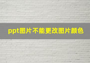 ppt图片不能更改图片颜色