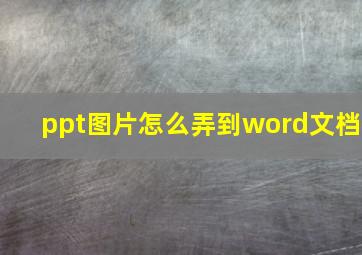 ppt图片怎么弄到word文档