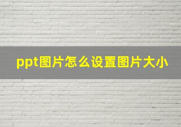 ppt图片怎么设置图片大小