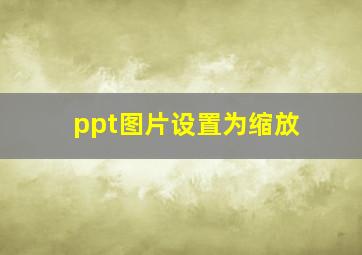 ppt图片设置为缩放