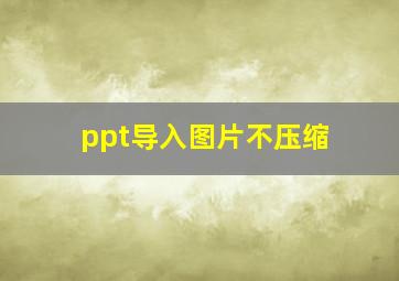 ppt导入图片不压缩