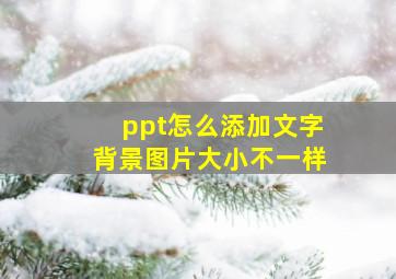 ppt怎么添加文字背景图片大小不一样