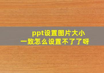 ppt设置图片大小一致怎么设置不了了呀