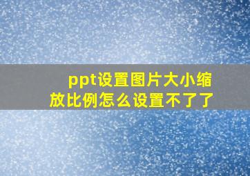 ppt设置图片大小缩放比例怎么设置不了了