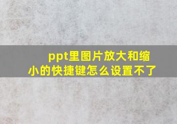 ppt里图片放大和缩小的快捷键怎么设置不了