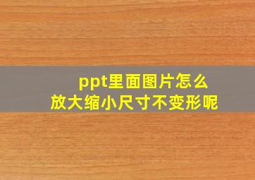 ppt里面图片怎么放大缩小尺寸不变形呢