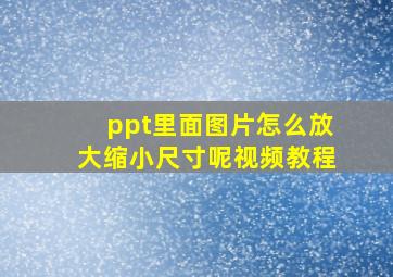 ppt里面图片怎么放大缩小尺寸呢视频教程