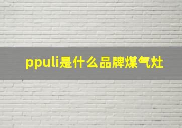 ppuli是什么品牌煤气灶