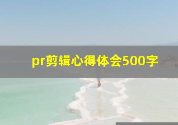 pr剪辑心得体会500字