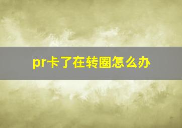 pr卡了在转圈怎么办