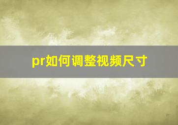 pr如何调整视频尺寸