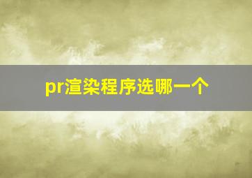 pr渲染程序选哪一个