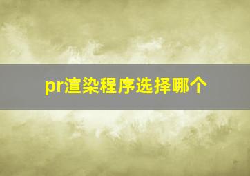 pr渲染程序选择哪个