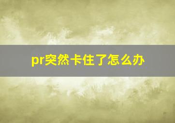 pr突然卡住了怎么办