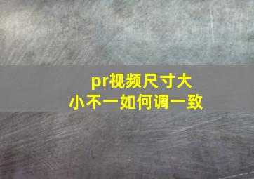 pr视频尺寸大小不一如何调一致