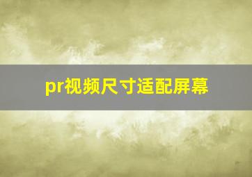 pr视频尺寸适配屏幕