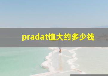 pradat恤大约多少钱