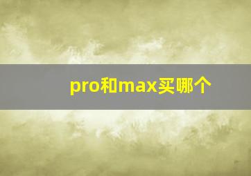 pro和max买哪个