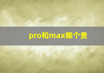 pro和max哪个贵