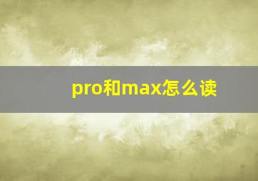 pro和max怎么读