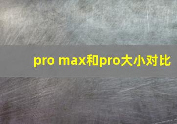 pro max和pro大小对比