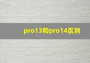 pro13和pro14区别