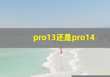 pro13还是pro14