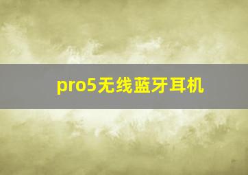 pro5无线蓝牙耳机