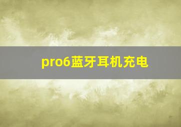 pro6蓝牙耳机充电