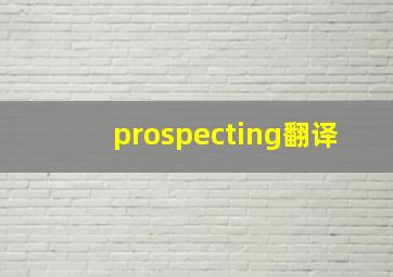 prospecting翻译