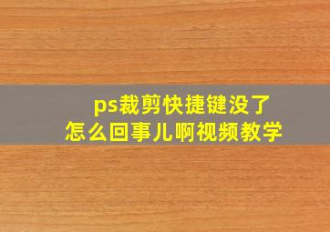 ps裁剪快捷键没了怎么回事儿啊视频教学