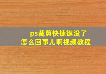 ps裁剪快捷键没了怎么回事儿啊视频教程