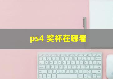 ps4 奖杯在哪看