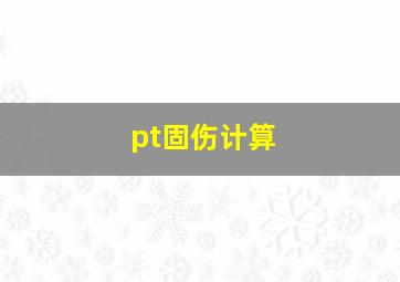 pt固伤计算