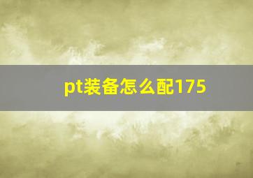 pt装备怎么配175