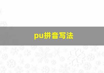 pu拼音写法