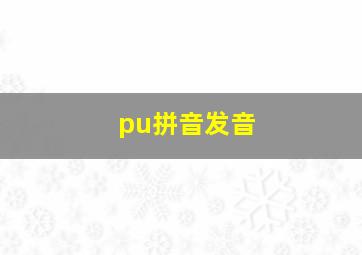 pu拼音发音