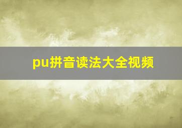 pu拼音读法大全视频