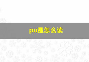 pu是怎么读