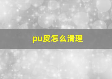 pu皮怎么清理