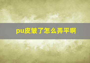 pu皮皱了怎么弄平啊