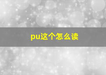 pu这个怎么读