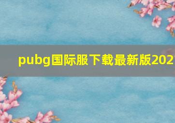 pubg国际服下载最新版2021