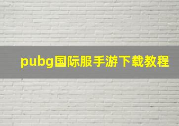 pubg国际服手游下载教程