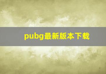 pubg最新版本下载