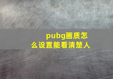 pubg画质怎么设置能看清楚人