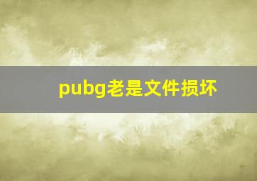 pubg老是文件损坏