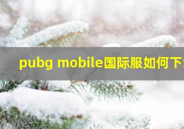 pubg mobile国际服如何下载