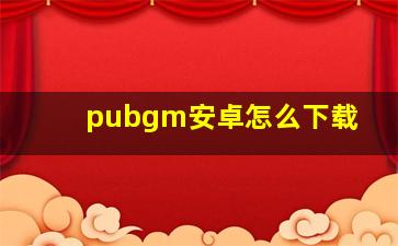 pubgm安卓怎么下载