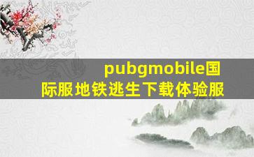 pubgmobile国际服地铁逃生下载体验服